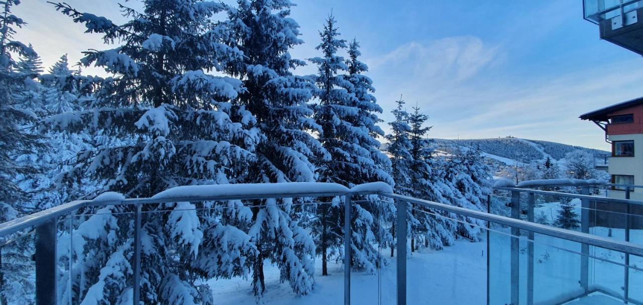 Apartman Nerudovka D 104, Finska Sauna, Garazove Stani Loučná pod Klínovcem Bagian luar foto